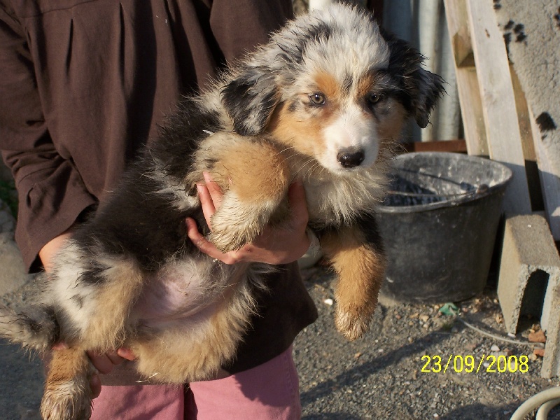 Darcy de la Vallée de l'Hyrome