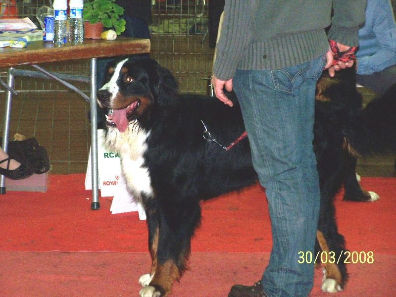 Balou de la Vallée de l'Hyrome