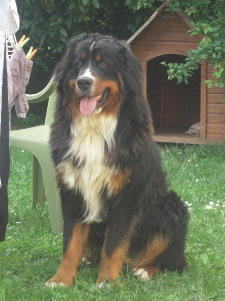Drako de la Vallée de l'Hyrome