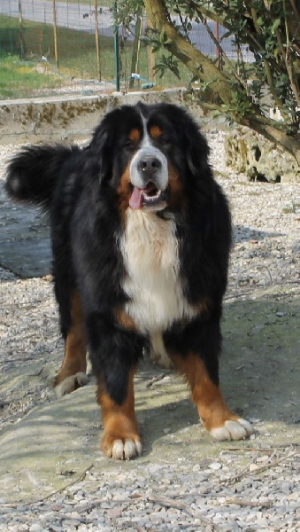 Hey mickey de la Vallée de l'Hyrome