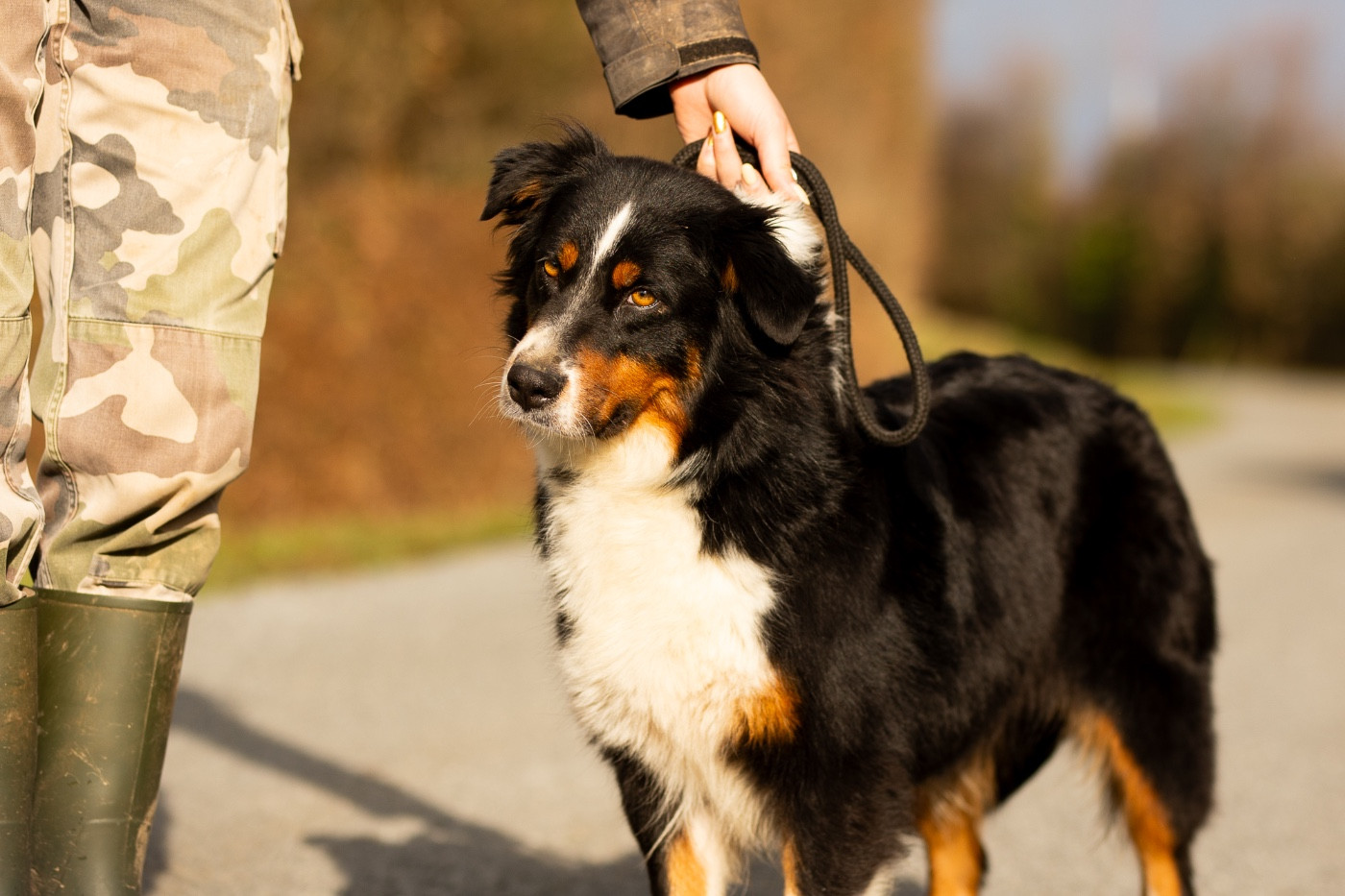 Smiley de la Vallée de l'Hyrome