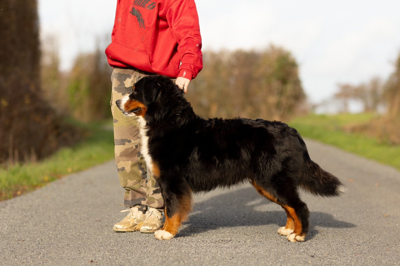 Ty boo de la Vallée de l'Hyrome