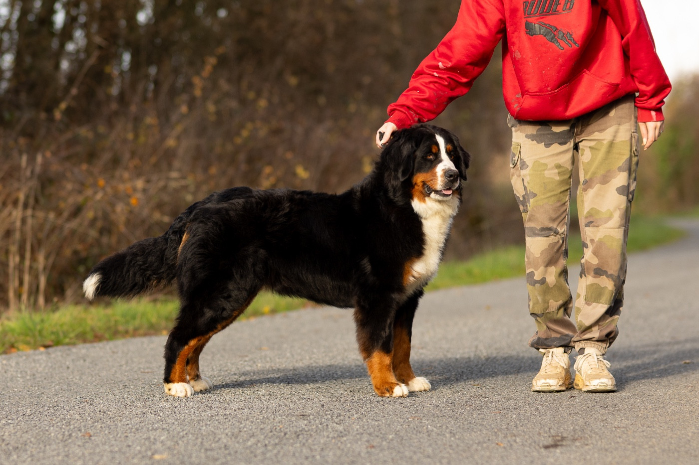 Viens je t'emmène dite Chance de la Vallée de l'Hyrome